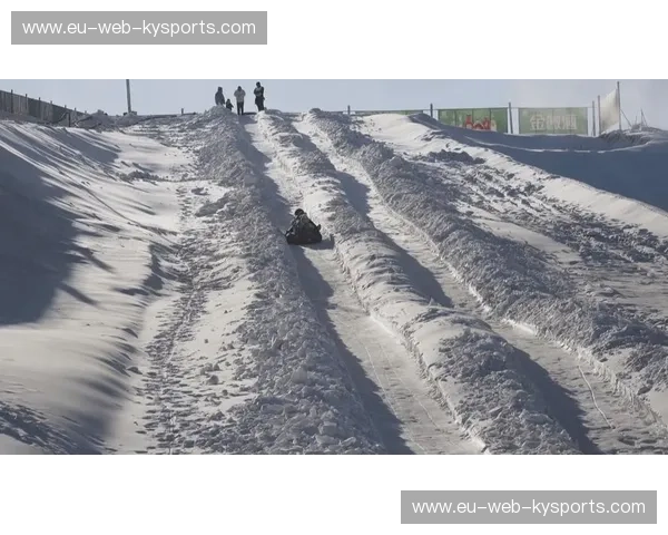赛程单板滑雪——点燃冬日速度与激情的必看指南